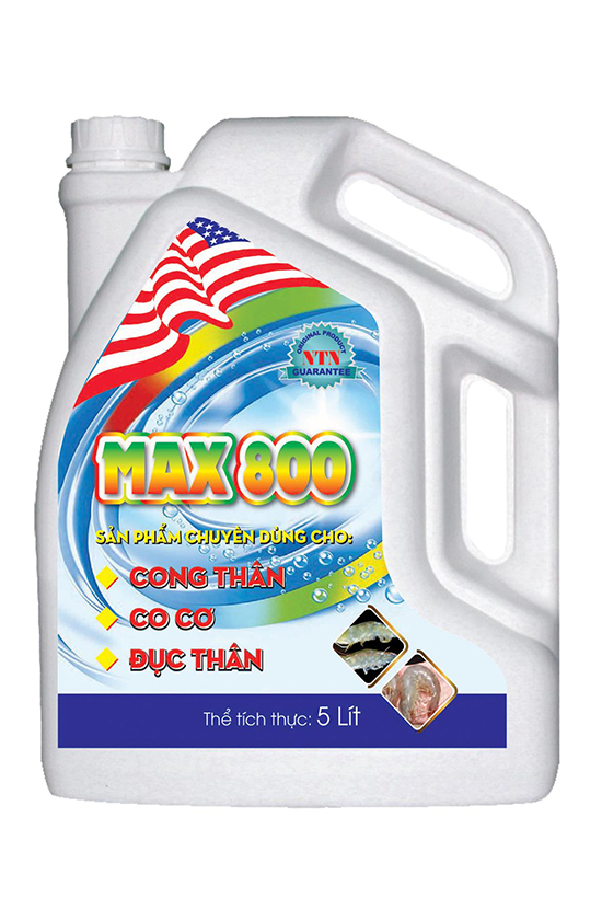 MAX 800 (NTN)